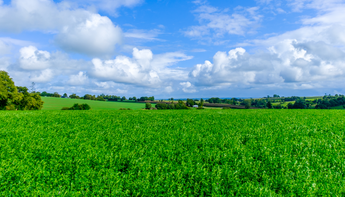 <b>Nuevo Acuerdo con la Cámara Argentina de la Alfalfa</b>